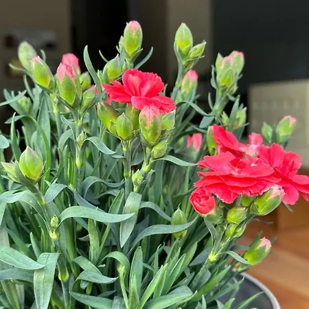 3b Boutique Ξενοδοχείο